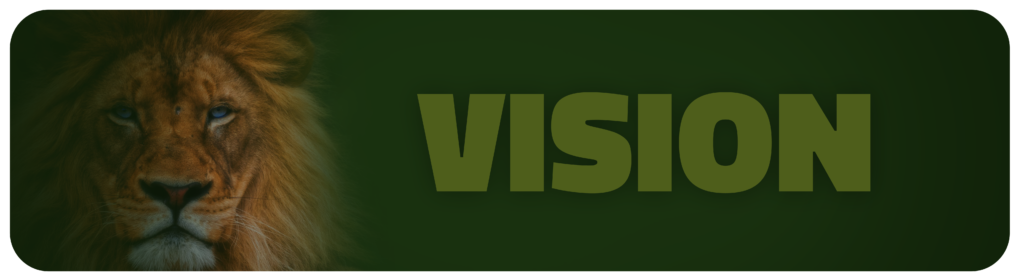 v1
