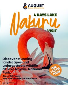 Lake Nakuru National Park — Where Wildlife Meets the Lake