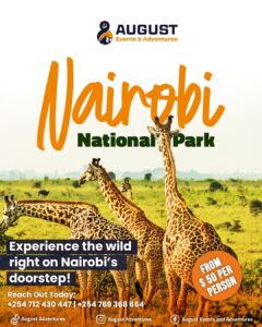 Nairobi National Park — Wildlife at the City’s Doorstep