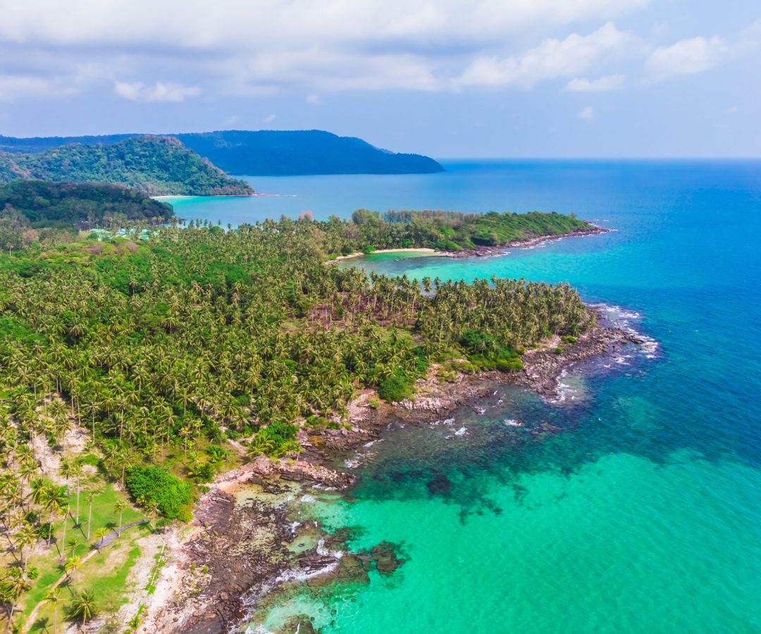 aerial view of beautiful beach and sea with coconut palm tree